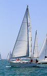 190629 SEA THYME GBR3571L 1Y3A0426_Edit