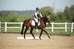 SBM_007921