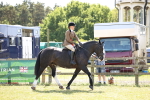 SBM_17956