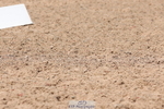 240706A-132404-02792