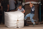 Shearing Competition portfolio