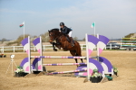 SBM_002202