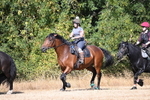 WJ6_7939