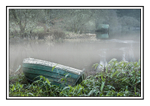Loch Ard mist