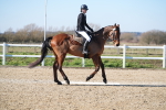 SBM_002292