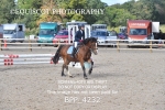 CLASS 5 PONY 60CM FINAL portfolio