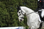118-HIGH_HOPES_VIKING-Harry_Meade-WEDTrotUp+DR portfolio