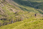 Buttermere Horseshoe-442