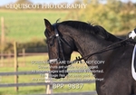 BPP_9837