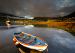 Golden Light on Loch Leven