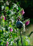 Linnea's Garden 3