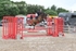 BPP_1667