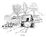 Garden Well