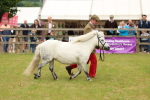 SBM_03539