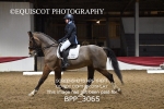 BPP_3065