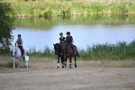 WJ6_8912