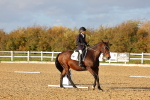 SBM_002810