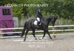BPP_6611