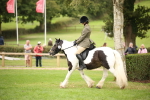 S68 - Traditional Cob Ridden portfolio