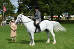 SBM_46898