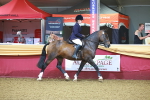 SBM_14658