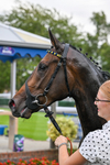 030726-Race 2-Tropical Crown-0642