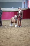 SBM_16263