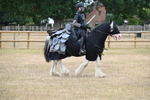 WJ6_8843