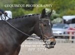 BPP_5774