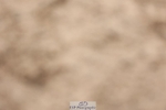 250629-101454-10430