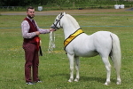 SIAL7970