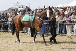Guernsey Race Day 03/05/10 portfolio