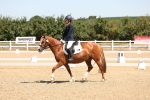 SBM_001267
