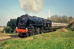 19th March 2011