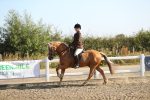 SBM_01143