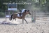 BPP_6762