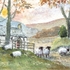 Sheep at Evening