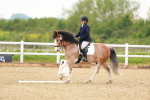 SBM_005988