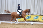 SBM_002652