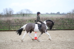 SBM_007956
