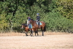WJ6_7862