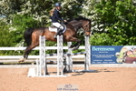 Cls 8 British Novice & 90cm Open portfolio