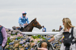 140824-Race 1-Lord Roxby-5821
