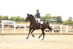 SBM_008241