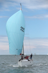 170701 SCALLYWAG GBR3177L AE1I3975