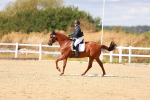 SBM_011836