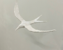 Arctic Tern One