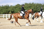 SBM_015257