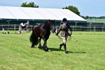 SBM_08069
