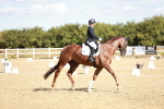 SBM_008849